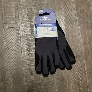 Sealskinz Waterproof All Weather Glove